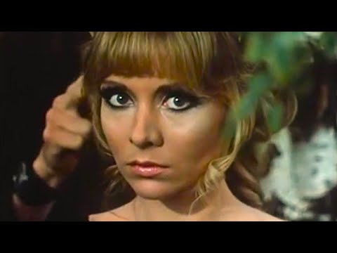 The Night Shadows - So Much