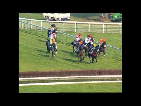Or Noir De Somoza Race " Prix Maurice Gillois " Gr 1 Auteuil - 05/11/2006