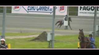 feel like i could run forever