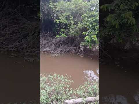 de pezca en el riacho San hilario con el amigo checho diyey