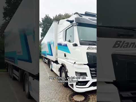 Sollen wir den behalten? 🦁