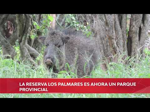 Flash de Noticias del 03/12/2021