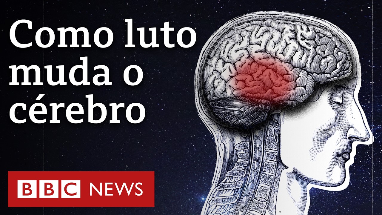 A neurociência do luto: como cérebro se reconfigura quando perdemos alguém