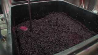preview picture of video 'Winery Operations at NCCC'