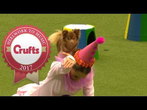 Freestyle Heelwork To Music Competition Part 2/3 | Crufts 2017