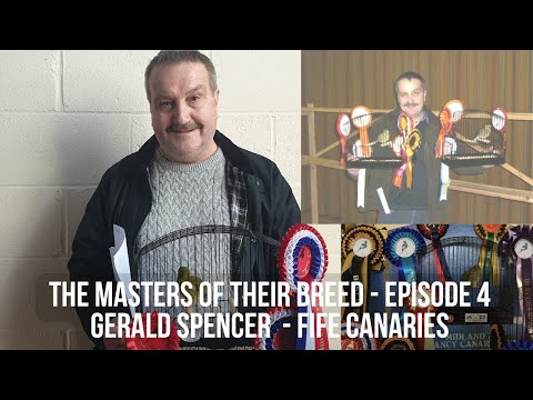 The Masters of their Breed - Gerald Spencer Fife Canary