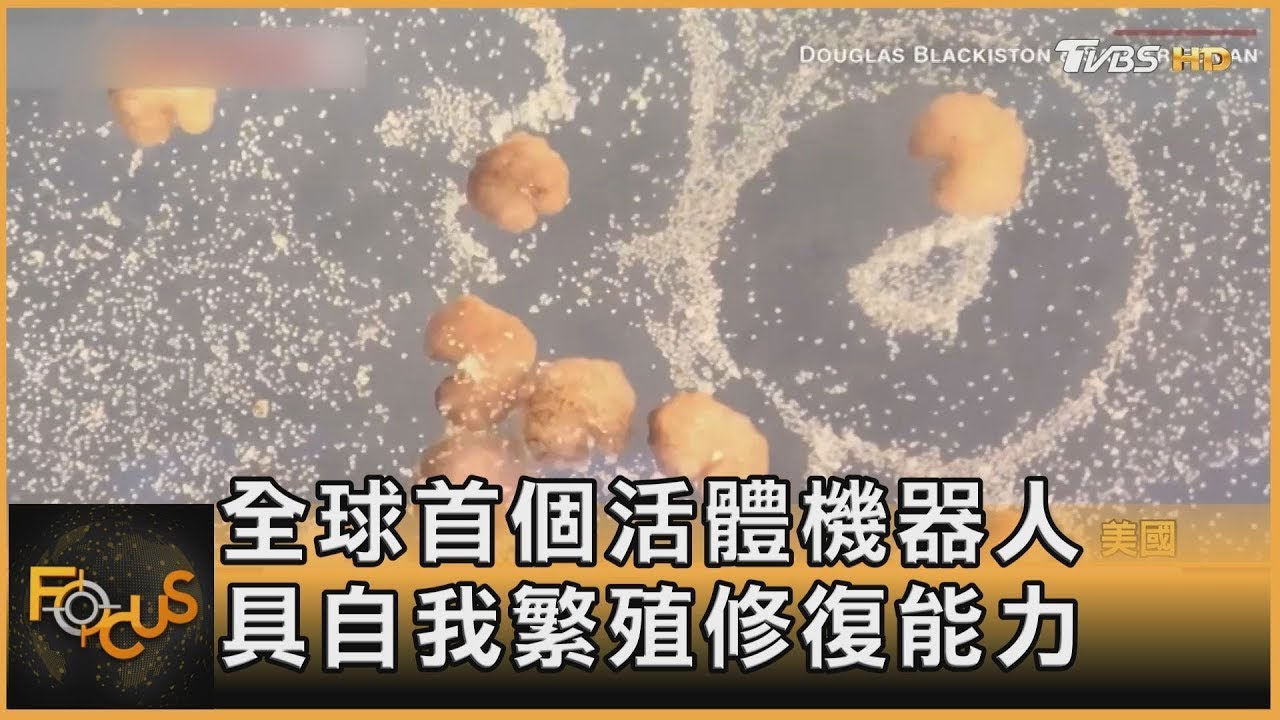 全球首個「活體機器人」 具自我繁殖.修復能力