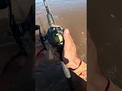 Pesca y Cocina LOS GOMEZ CHICO, Ríos Crecidos, Tucumán #Pesca #pescaycocina #fishing #fish #dorados