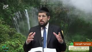 הרב אליהו עמר שליט"א זרע שמשון פרשת נח