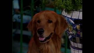 Download lagu Cúmplices de um Resgate(2002) - Capítulo 81 / Parte 1 (Dublado) mp3