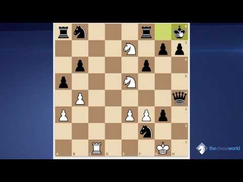 Exploiting Weaknesses with  IM Edward Porper Exclusive Preview