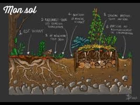 Lydia et Claude BOURGUIGNON : Comprendre Le Sol, La Terre et l'Humus