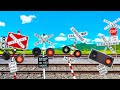 Oceania Railroad Crossing