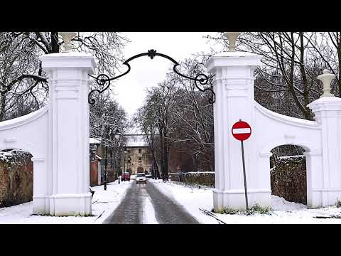Żary 14.01.2021 r.Zimowo w okolicach zamku i pałacu.