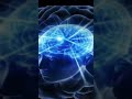 Galaxy Brain Meme Clip #bigbrain