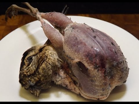 download lagu mp3 mp4 How To Cook Woodcock, download lagu How To Cook Woodcock gratis, unduh video klip How To Cook Woodcock