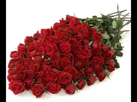 Rubic Lusinein...happy birthday dear Lusine....07.04.2013