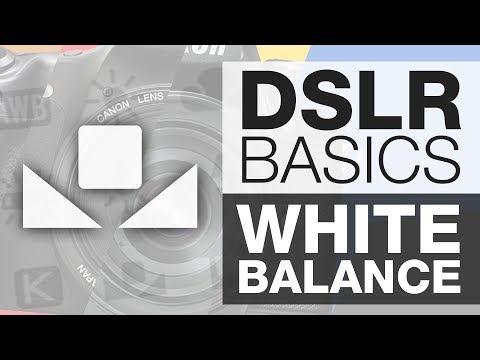 DSLR BASICS | White Balance