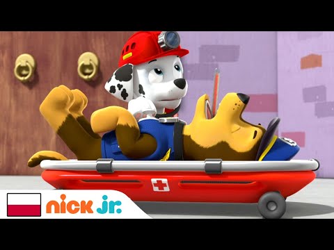 Psi Patrol | Chase zachorował! | Nick Jr.