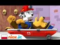 Psi Patrol Chase Zachorował Nick Jr