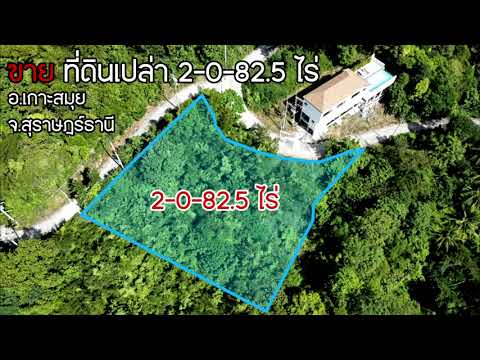ขาย ที่ดินเปล่า 2 ไร่ บนเกาะสมุย – รูปที่ 2