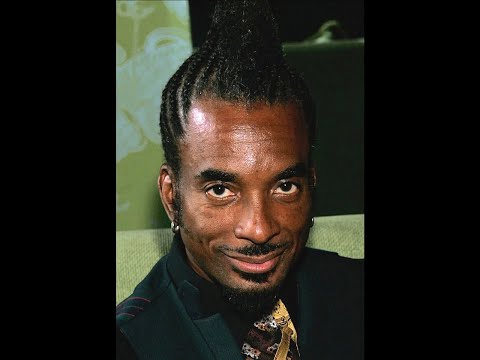 Amp Fiddler - I got it ft Alena