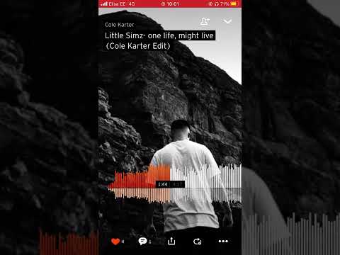 Little Simz- One life, might live(Cole Karter Edit)