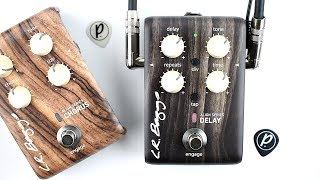 Video thumbnail for L.R. Baggs Align Series Acoustic Delay by Pedal of the Day