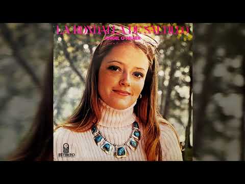 El Tren - La rondalla de saltillo