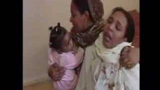 Dutch Detention  -Holland