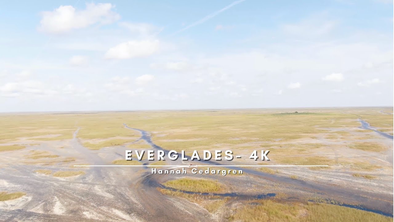 Enjoying the Everglades - 4K