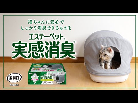 エステーペット 実感消臭シート 猫用システムトイレ 10枚