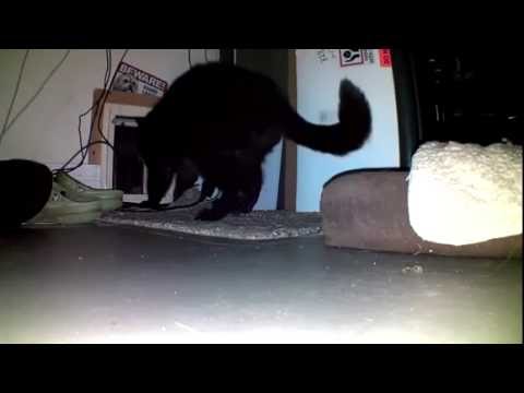 Toby from Woburn, MA