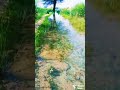 Kheti Badi Kheti Badi Status Kheti Badi Song