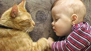 When you're my one and only special friend! ❤️🐱Cute Cats and Human