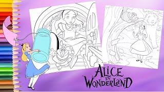 Coloring Disney Alice In Wonderland - Alice & Cheshire Cat - Coloring Pages
