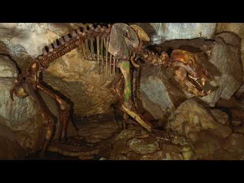 SWR 27.12.1949: Karl August Bez entdeckt die Bärenhöhle