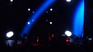 Family Tree - Kings of Leon