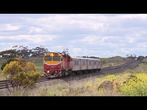 V/Line Trains - "N Class" locomotive hauled passenger trains near Lara (30/9/2010) - PoathTV