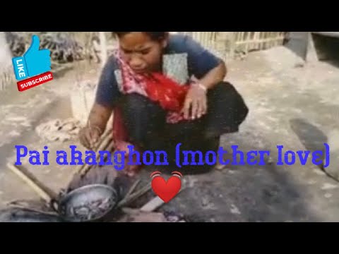 pai akanghon ( mother love)