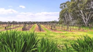 Video overview for 164 Hunt Road, McLaren Vale SA 5171