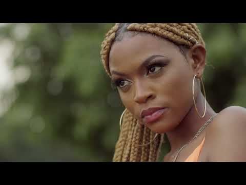 Herbert Skillz - Different (Official Video)