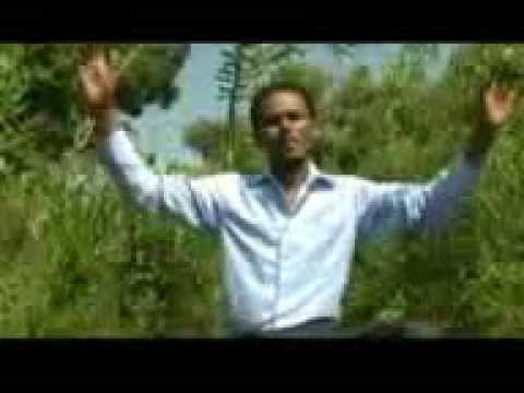 mangistuu baqqalaa (adda godheen maqaakee jajuun weeddisaa)