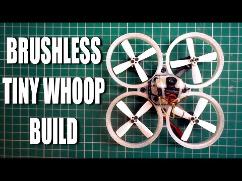 build-a-brushless-tiny-whoop
