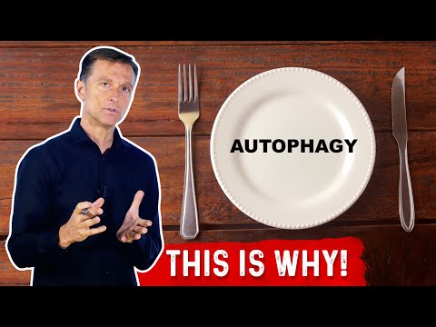 The 7 Powerful Ways to Increase Autophagy