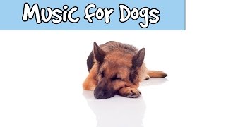 Over 8 Hours of Relax My Dog Music! LONG PLAYLIST Sleep Music for Dogs and Puppies with anxiety