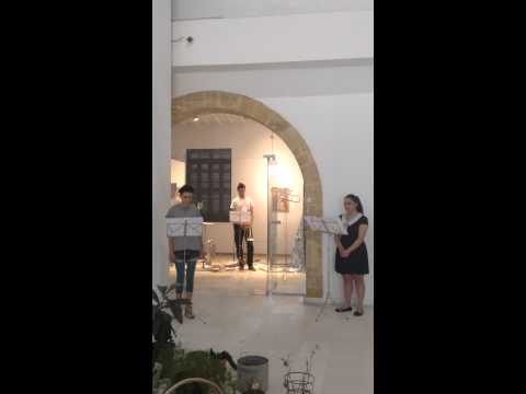 Ακρόαση, audition, “other indications” Nicosia 2013, Kyriaki Costa