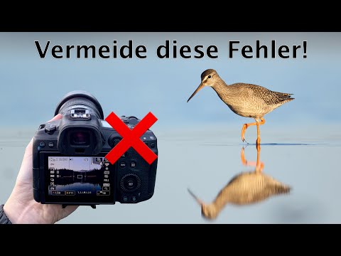 The 10 most common photography mistakes