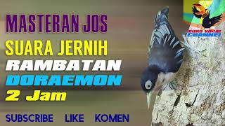 Download lagu Rambatan Doraemon Gacor Durasi Panjang Spesial Masteran Malam Hari 100% Josss mp3 Download lagu Rambatan Doraemon Gacor Durasi Panjang Spesial Masteran Malam Hari 100% Josss mp3