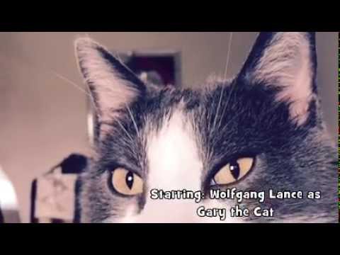Eddie Lance - One Cat, One Box